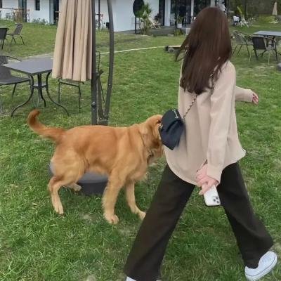 地狱猎手